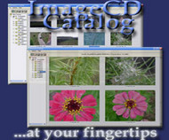 ImageCD Catalog screenshot